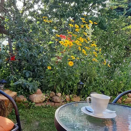 Apartament Bema Biała Podlaska Exterior foto